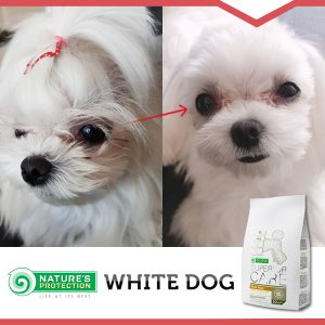 Nature's Protection Superior Care White Dogs – Za bele mladiče in doječe samice – Losos 10 kg - Slika 3