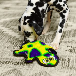 Outward Hound Invincibles - Trpežna plišasta igrača za psa - Gekon 35 cm - Slika 2